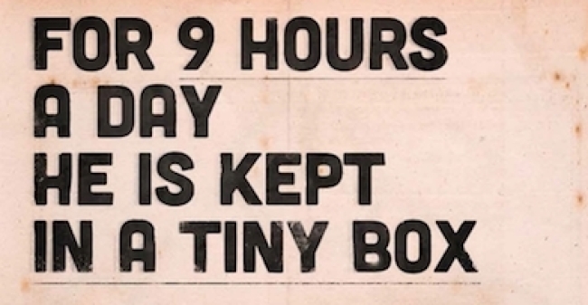 Mensen Uitlaten Uitsnede