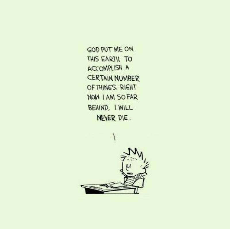 Calvin Hobbes