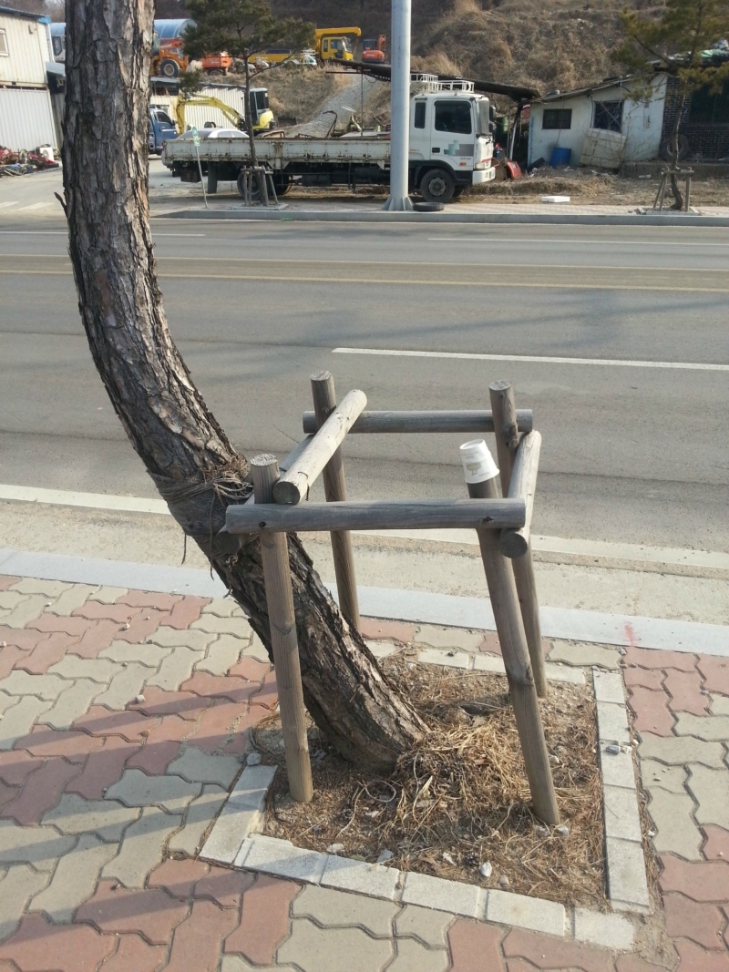 Fuck The System Boom