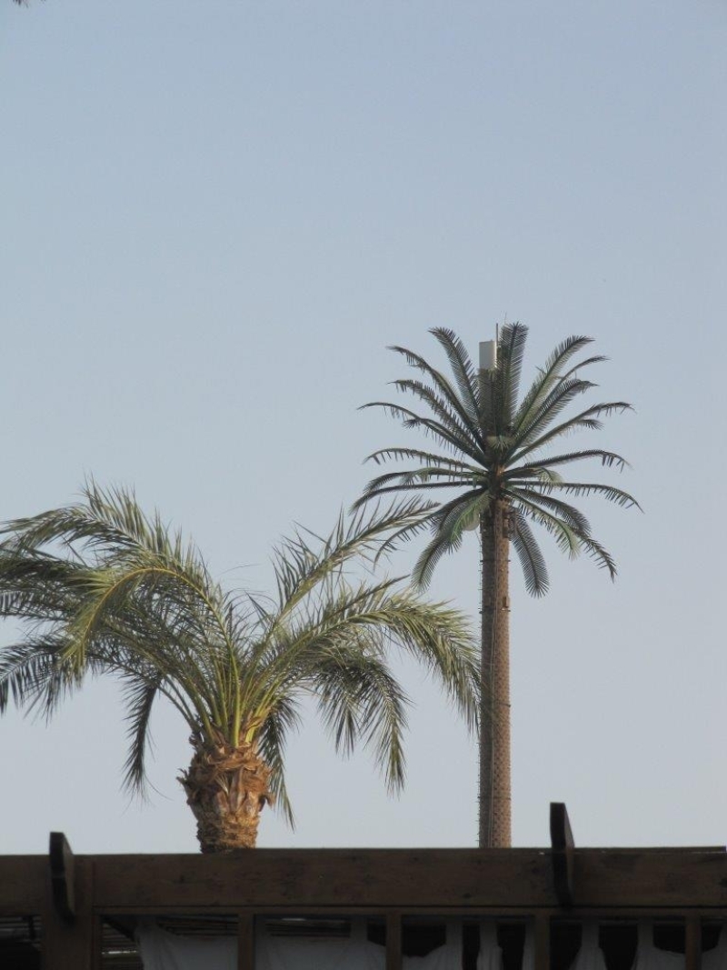 Gsm Mast In  Hurghada