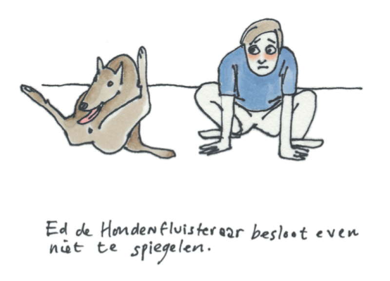 Hond Spiegelen