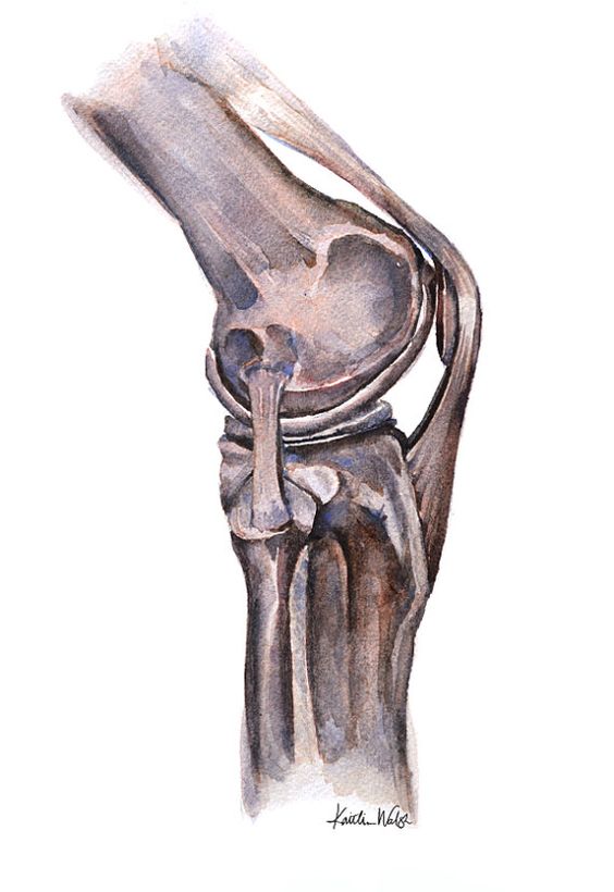 КТ коленного сустава