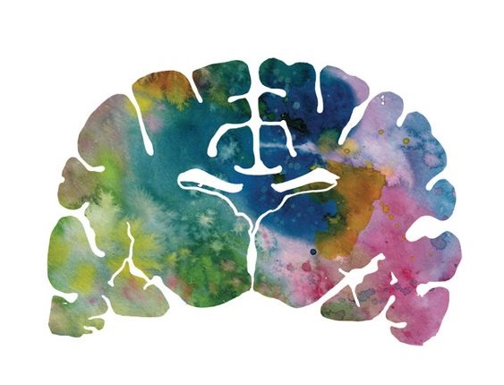 Томография мозга