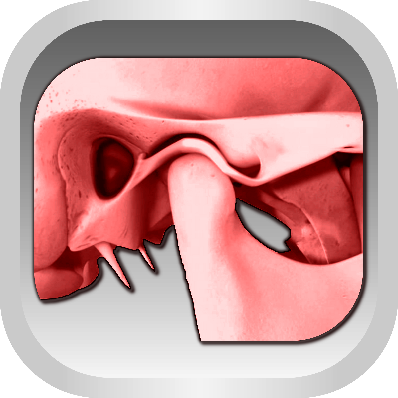 МРТ височно-нижнечелюстного сустава