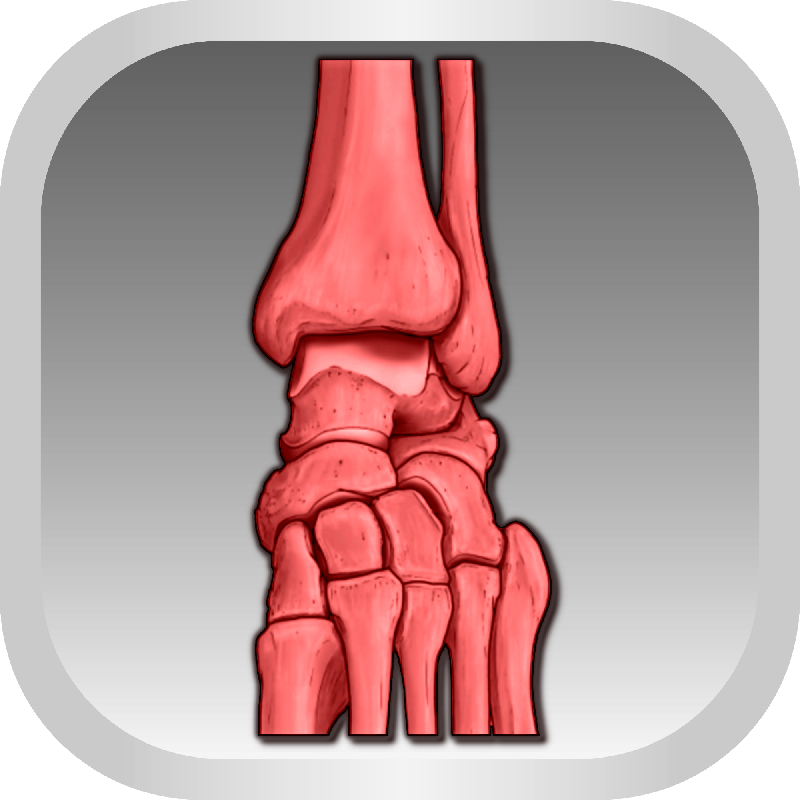 МРТ голеностопного сустава