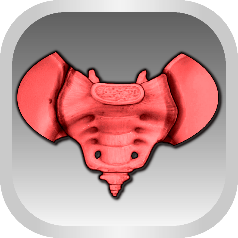 МРТ крестцово-подвздошного сочленения