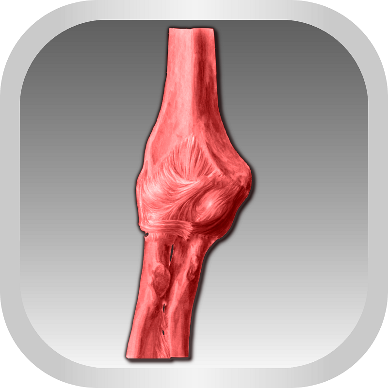 МРТ локтевого сустава
