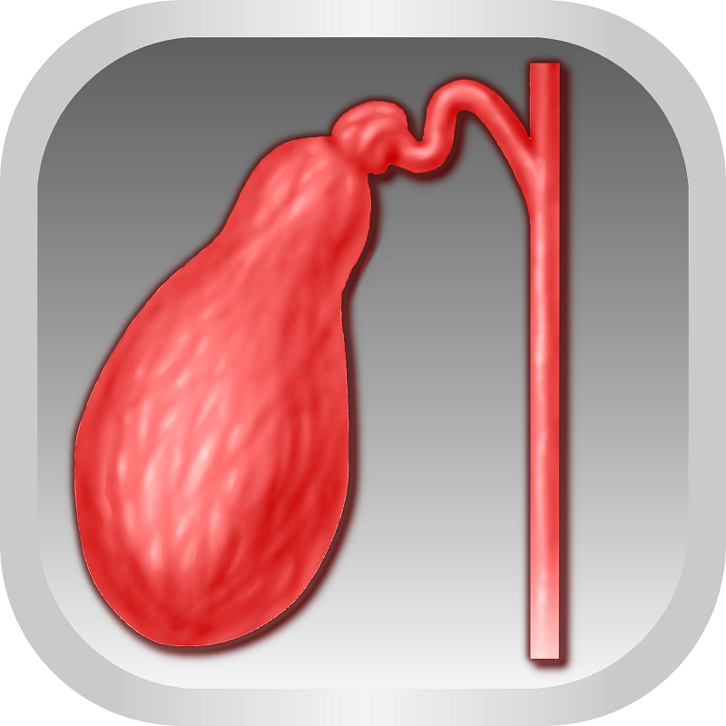 МРТ желчного пузыря