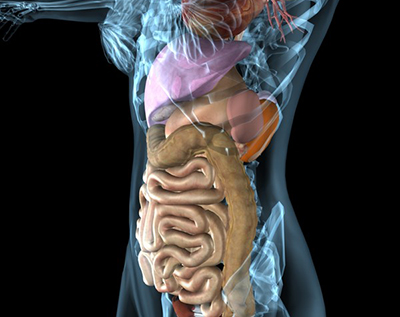 компьютерная и магнитно-резонансная томография брюшной полости, что показывет
