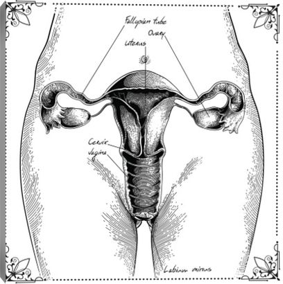 МРТ малого таза у женщин