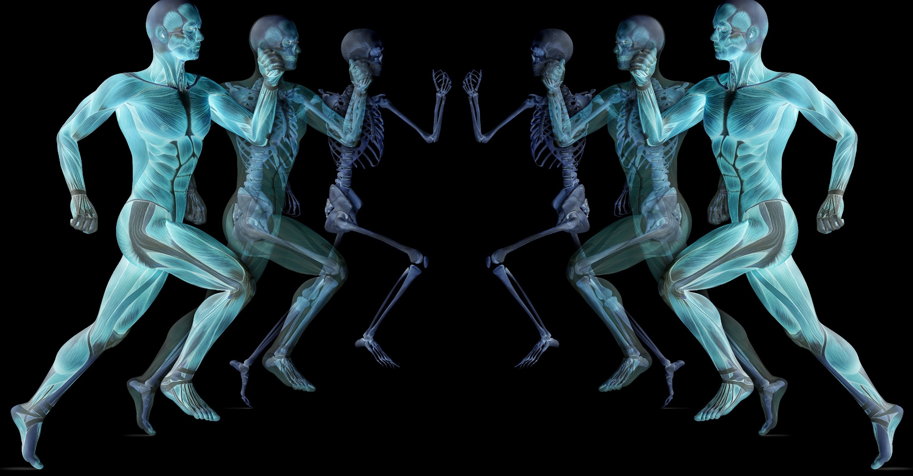 Томография всего тела в СПб и Москве, самые выгодные предоожения