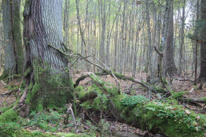 14a1