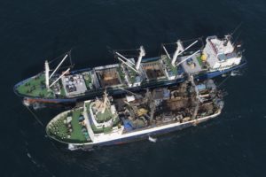 Illegal Transshipment in Guinea Bissau