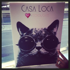 Casa Loca Day Party