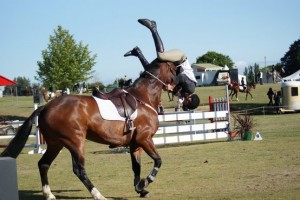 279b007a0468bca7570e59bd71416cf6