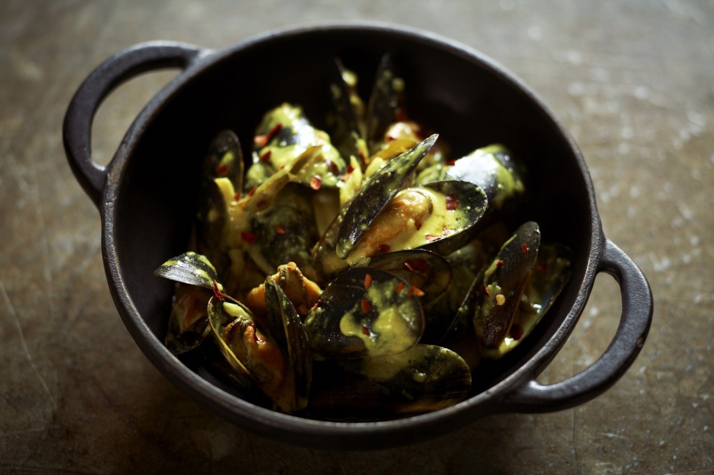 Abdul Website Pictures 24434