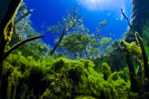 Christian-Vilz_Mexico_3rd-Place_Travel_Professional-competition-2014