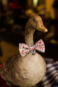 Duck with bowtie