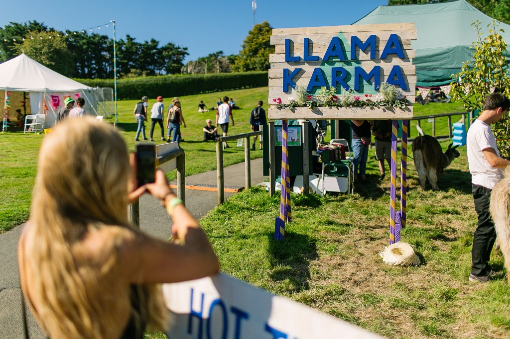 Dan Dennison - Llama Karma - b22693ec-57e5-11e5-9e8f-92ce347ad47a - Web