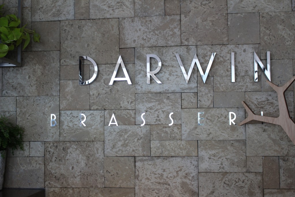 Darwin Brasserie