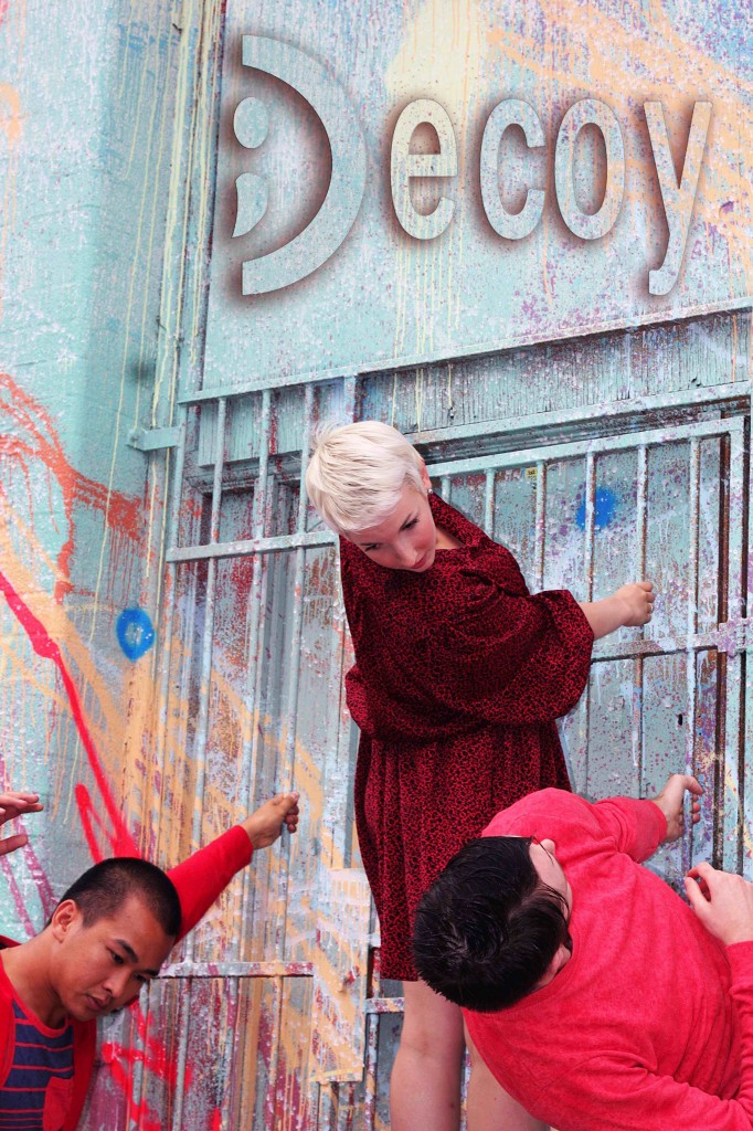 Decoy Grate 300 logo layers final super sm