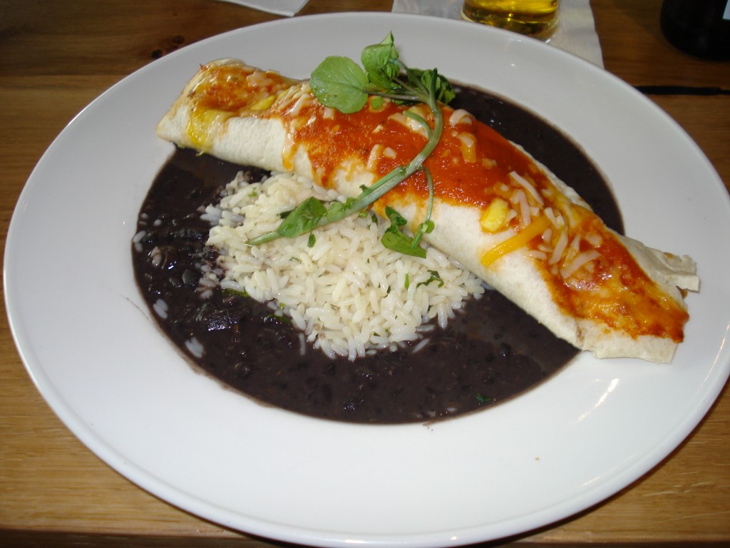 Las Iguana Enchilada