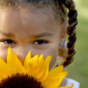 Little girl with sunflower