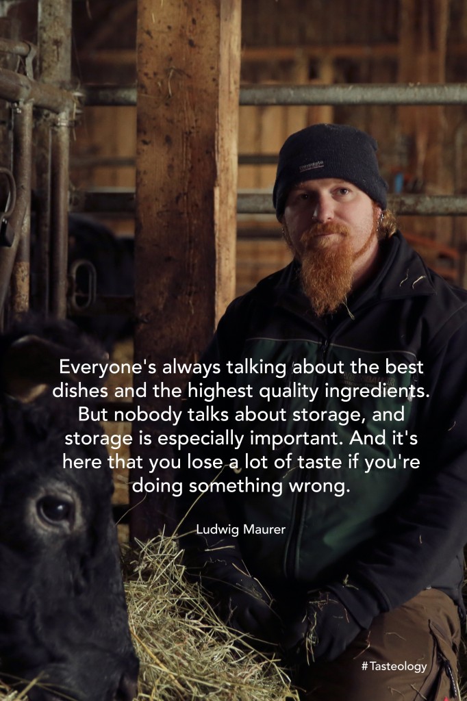 Ludwig Maurer quote (2)