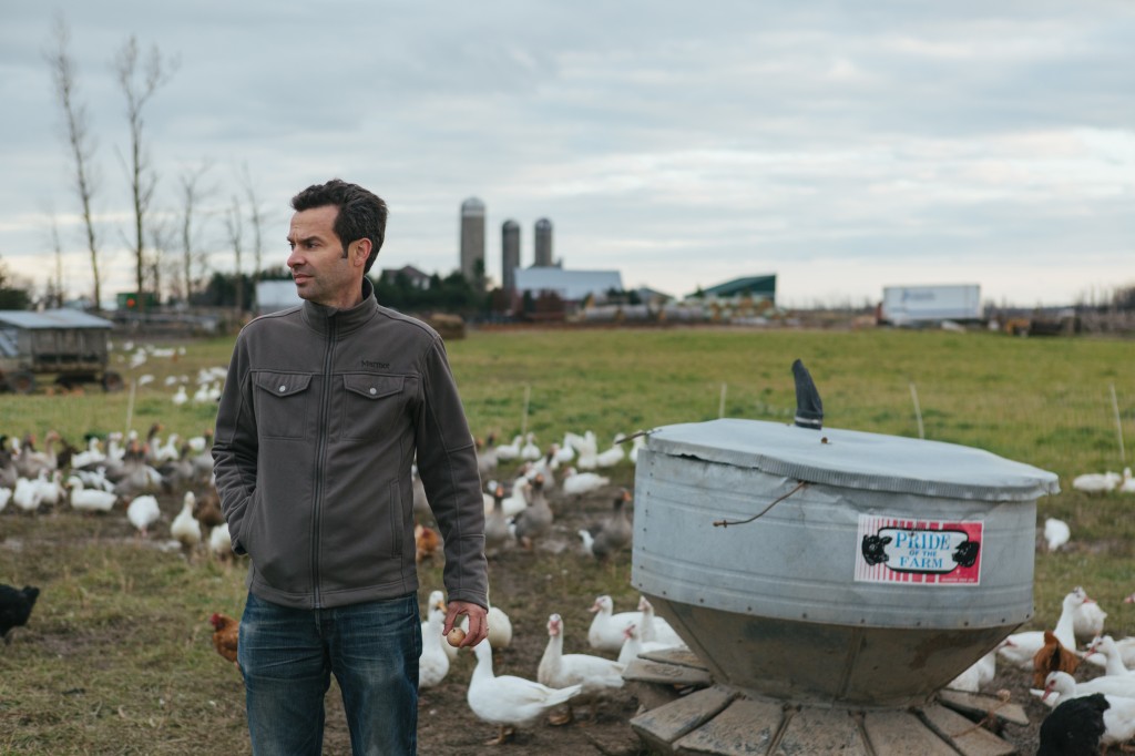 Tasteology Source Mark Schatzker