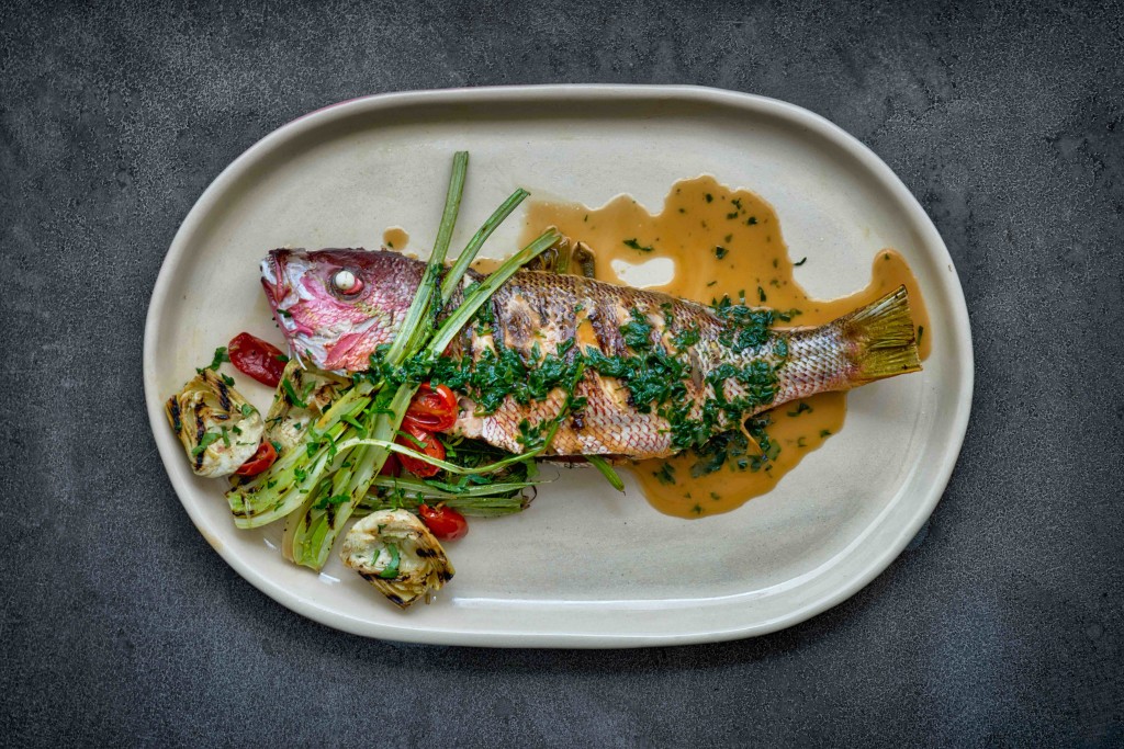 Yellow Tail Snapper and Arak with Sauce