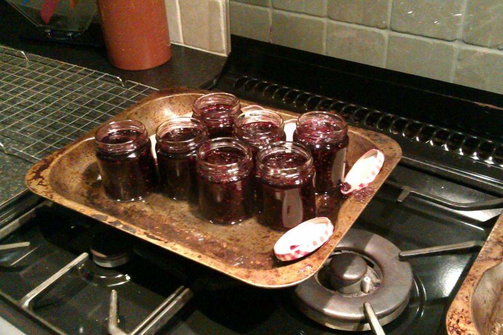 Blackberry and Apple Jam