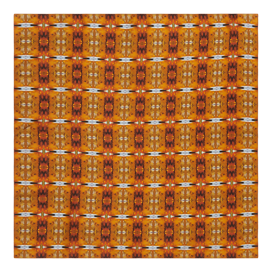 clementina-scarf-full