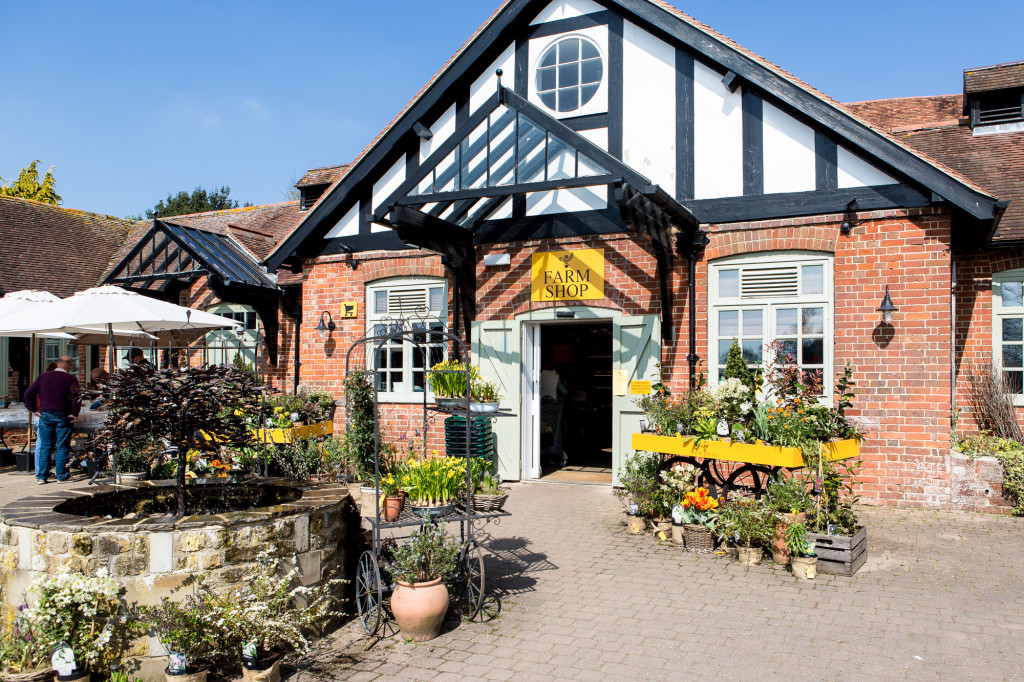 cowdray nyla sammons-10