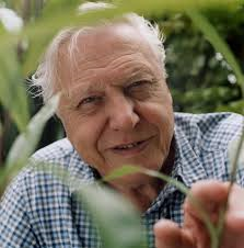 david attenborough