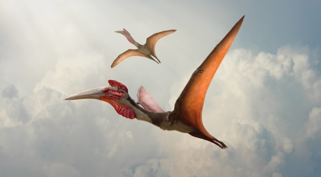 dinosaurs_in_the_wil_ZYXgW