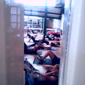 frame1