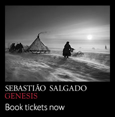 salgado-whatson-btn_119901_2