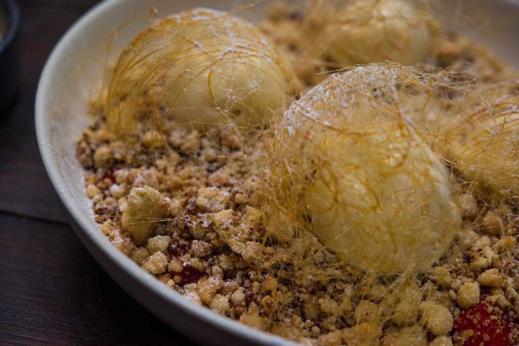 the_common_press_nig_wgKGL