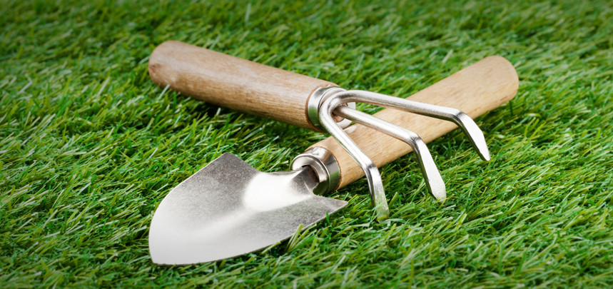 Buy Turf Lawn Care
