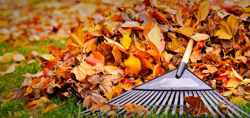 Time For An Autumn Feed