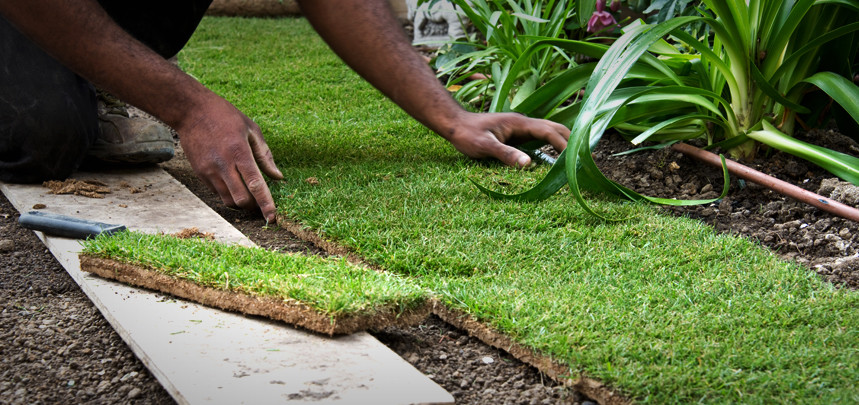 Using Fertiliser