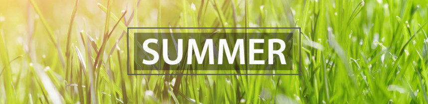 Summer