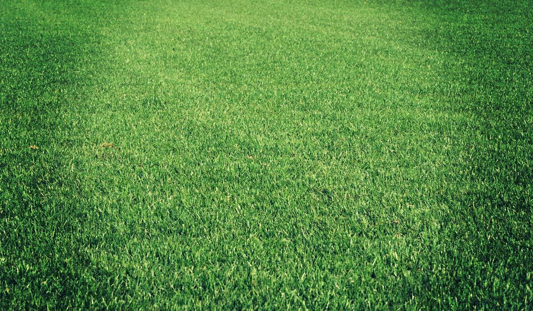 Our Products Buy Turf