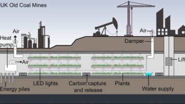 Underground Crops