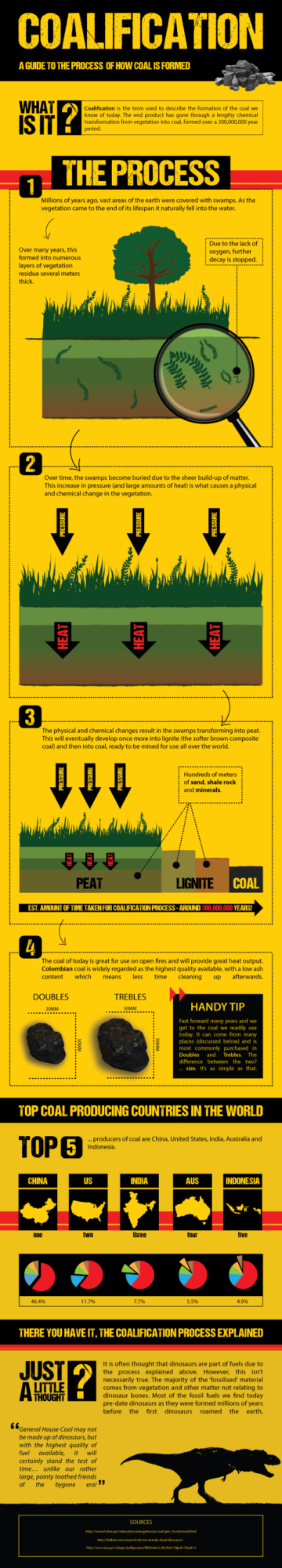 Coalification Infographic