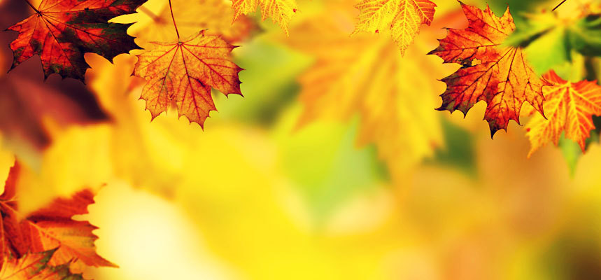 Mid Autumn So Far