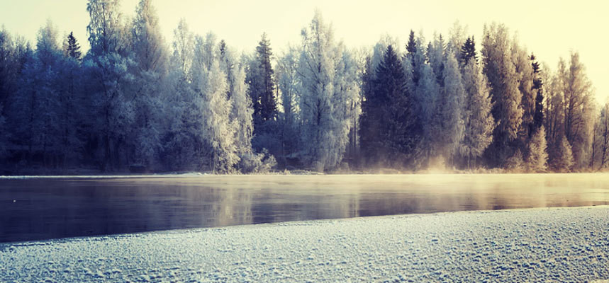 The Polar Vortex