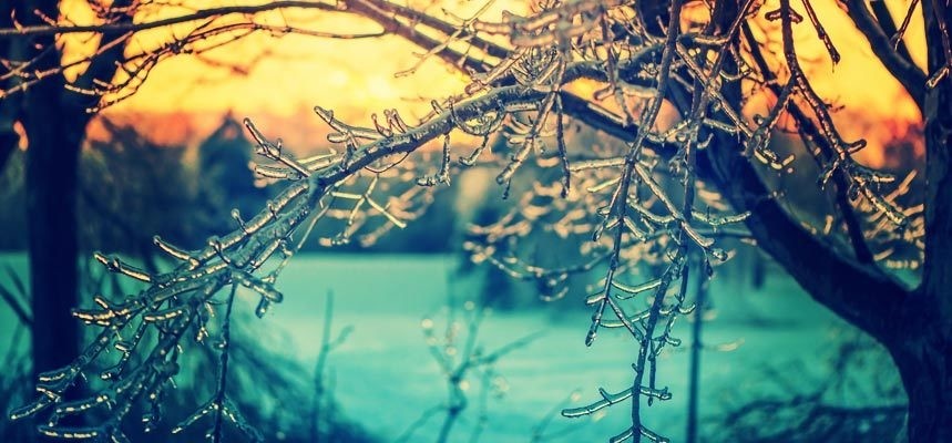Wintery Facts
