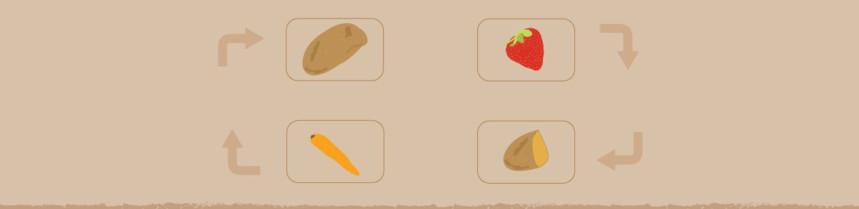 Crop Rotation In Your Vegetable Garden