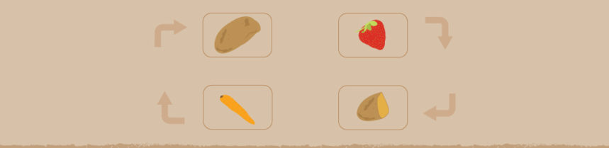 Crop Rotation In Your Vegetable Garden